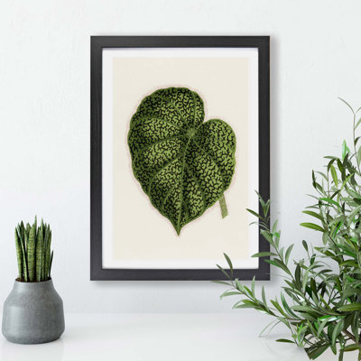 Illustration of a Green Leaf by Benjamin Fawcett - Wall Art