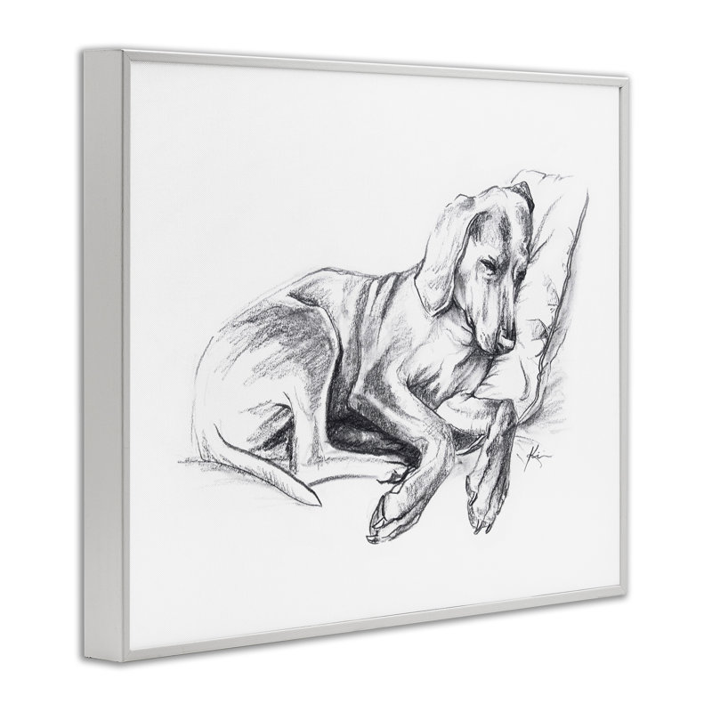 Napping Dog Drawing Giclee Art by Lindsay Kivi Fine Art, Coastal White Framed Giclee, 24" H x 30" W