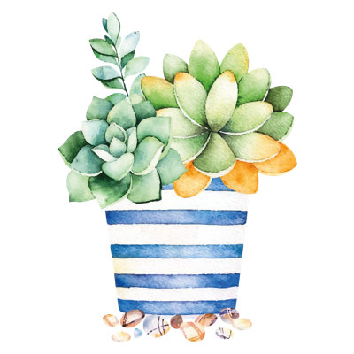Adhésif décoratif succulent