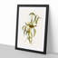 White-Blumed Honeyeater by Elizabeth Gould - Picture Frame Painting Print-55611897-55611898