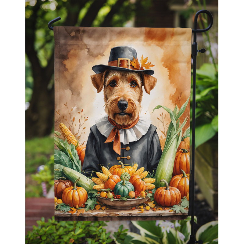 Drapeau du jardin de l'Action de grâce, Airedale Terrier