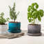 Le Creuset Enameled Stoneware Pot Planter-66655433