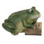 Statue de lecture de grenouille 