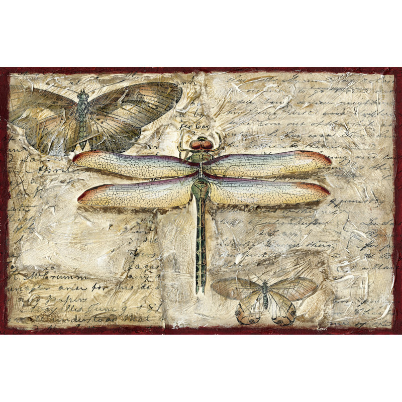 Poetic Dragonfly II by Chariklia Zarris - Wrapped Canvas Print, 30cm H x 46cm W