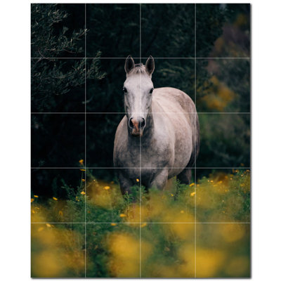 Horse Photo 4.25'' x 4.25'' Satin Ceramic Decorative Mural