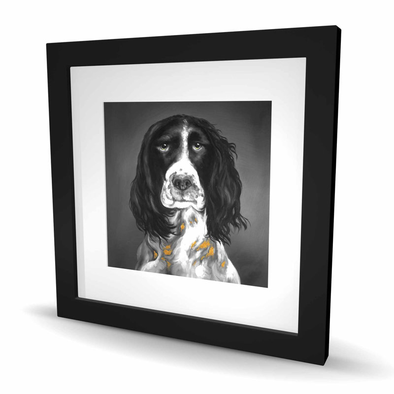 Beautiful English Springer Spaniel - Framed Matted Print
