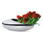 Cocoon Champagne Bucket