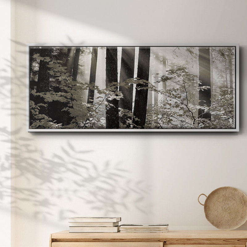 Misty Forest- Framed Canvas, 24" H x 60" W