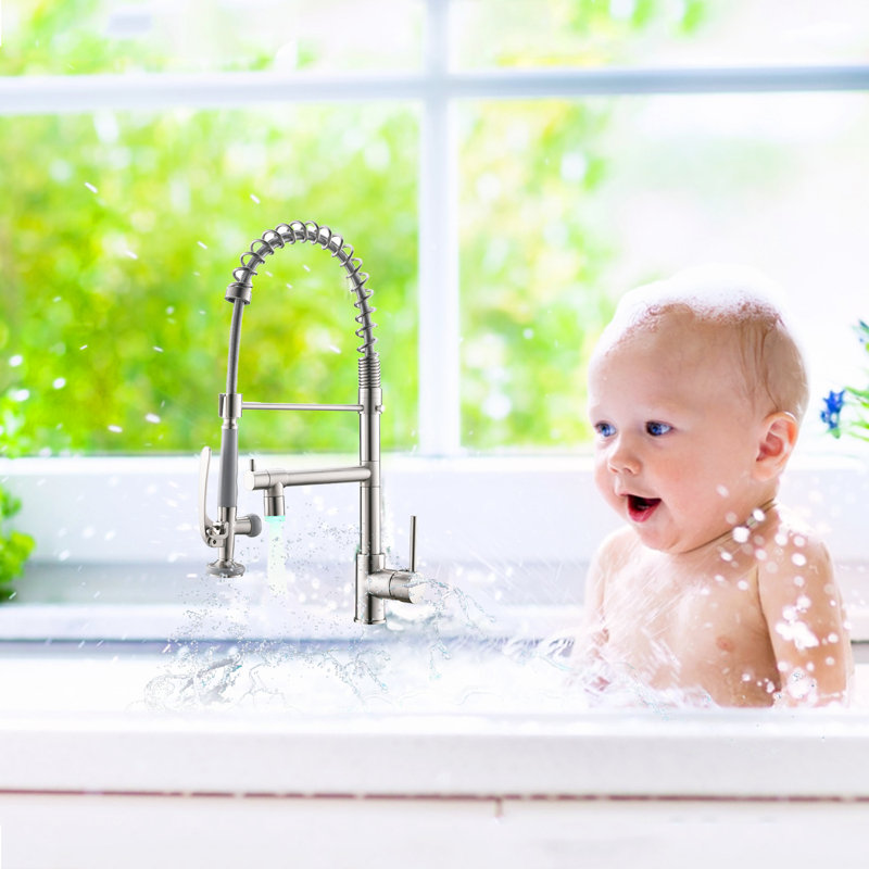 Fapully Pull Down Kitchen Faucet