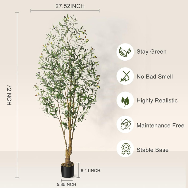 180cm Plant