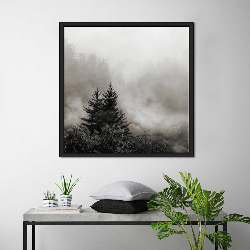 «Rising Mist, Smoky Mountains» par Nicholas Bell - photographie, Cadre flottant noir, H 27,5 po x l 27,5 po x P 2 po