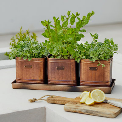 Metal Pot Planter