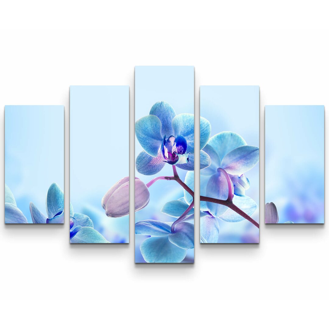 5-tlg. Leinwandbilder-Set Nahaufnahme einer Blaue Orchidee