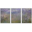 Célèbre œuvre d'art «Nymphéas» par Claude Monet-102292310-102292307