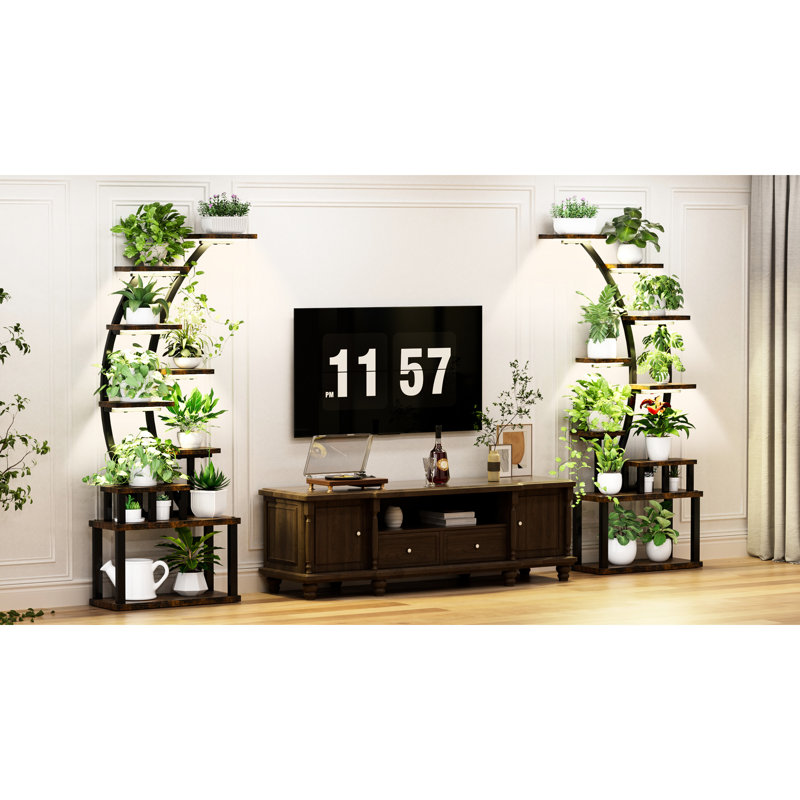 Support pour plante d'intérieur 9 avec lumières de croissance, plusieurs options d'éclairage, cadre en fer robuste, idéal pour les amateurs d'espace de présentation de 63,6 po de hauteur