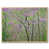 Natural Floater Framed Canvas