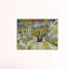 1 Piece Wrapped Canvas Painting-1735260514