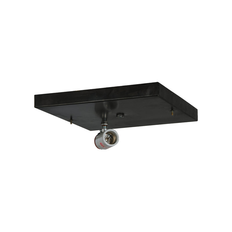 1 - Light Flush Mount