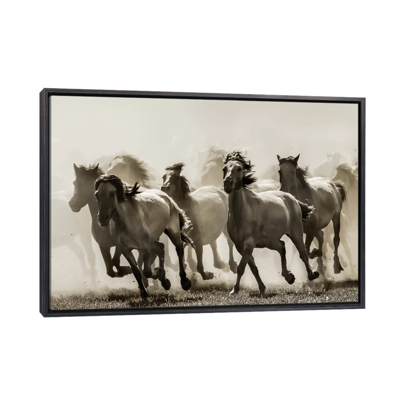 Cheval - reproduction d'art, H 18 po x l 26 po x P 1,5 po, Toile encadrée noir délavé