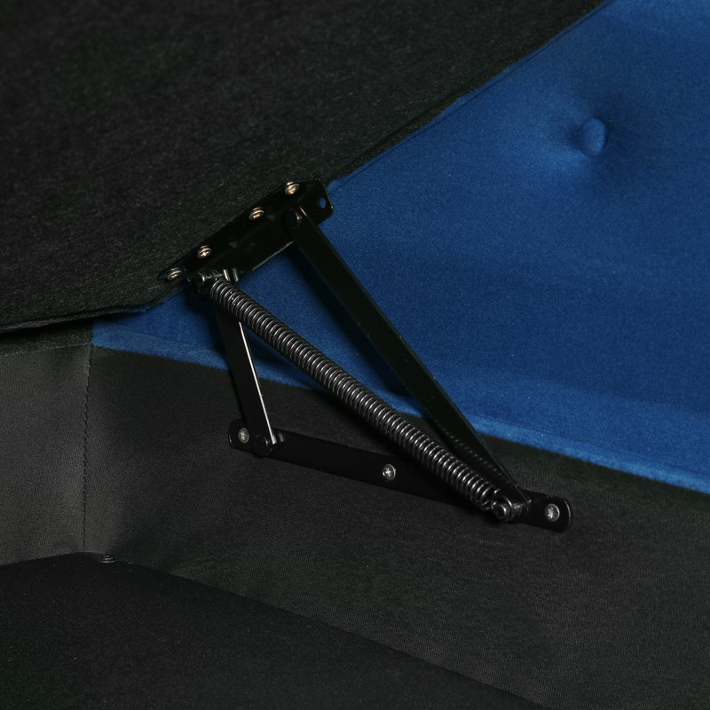 Chaise longue rembourrée pour l'intérieur, Noir, Bleu