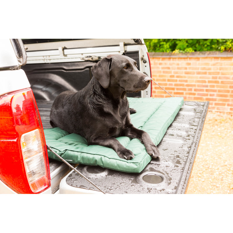 Luka Pet Bed, XLarge (5cm H x 65cm W x 108cm D)