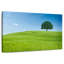 Colline et arbre toscan-1105139018