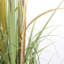Faux Pampas Grass Grass in Pot-93756716