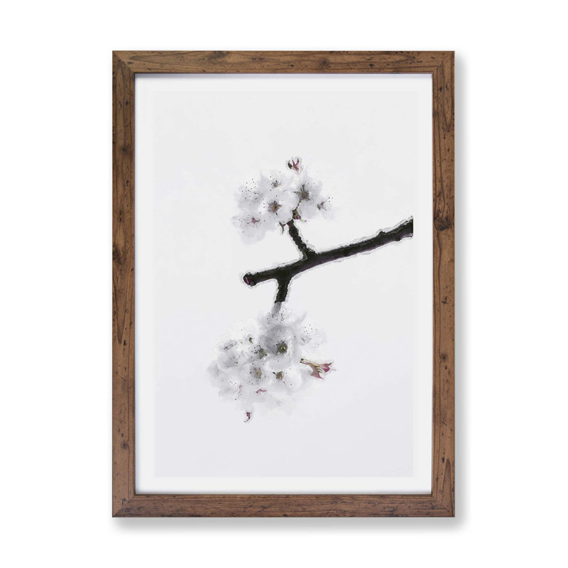 White Cherry Blossom Tree - Wall Art, 45cm H x 33cm W x 2cm D, Black Framed Paper