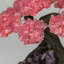 Medium Genuine Rose Quartz Clustered Gemstone Tree on Amethyst Matrix (The Love Tree)