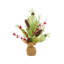 14 plantes