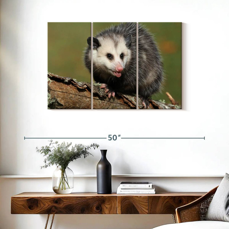Brampt Angry Opossum, 24" H x 38" W