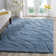 Ashal Abstract Blue Area Rug