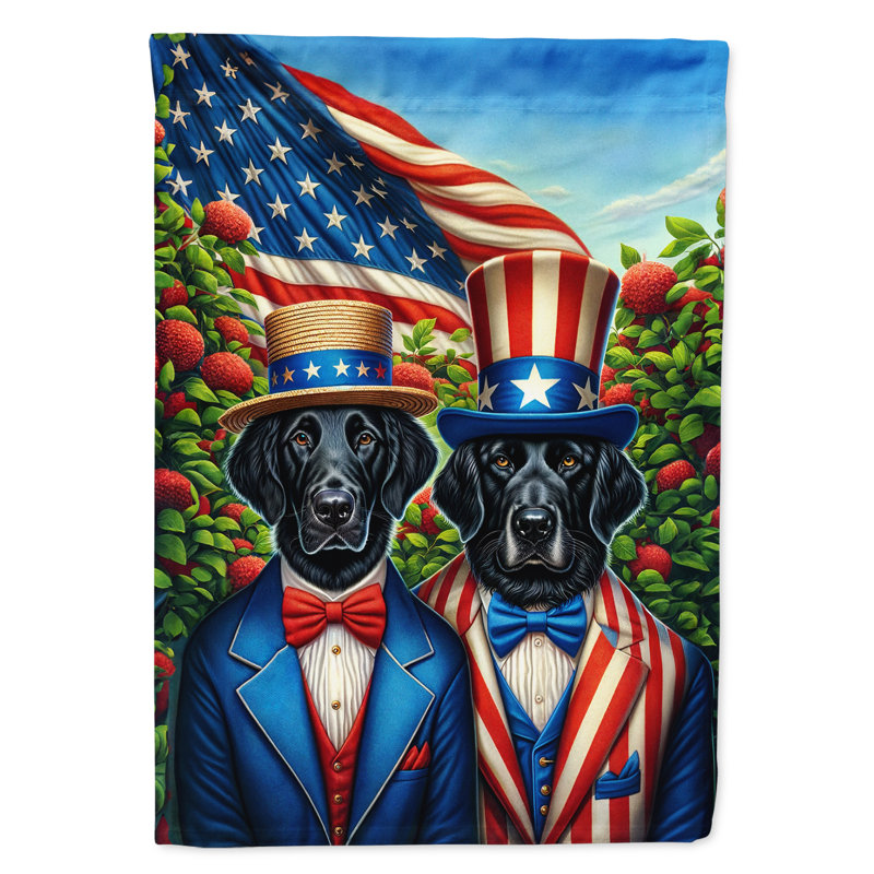 Drapeau All American Garden, Retriever à poil plat