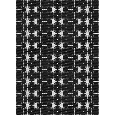 Indoor Rug