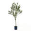 ARBRE D'OLIVE ARTIFIQUE 150CM 150CM