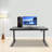 Electric Standing Desk with USB Charging & Storage Drawer – 220lb Capacity, Adjustable 28-44” Height-278554473