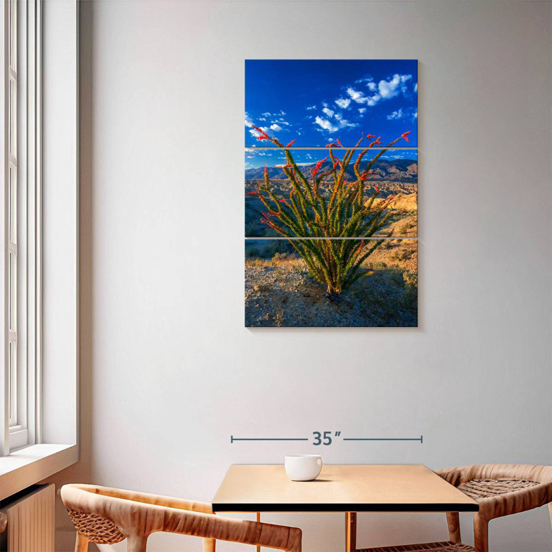 Aaric Ocotillo à Anza Borrego, H 57 po x l 36 po