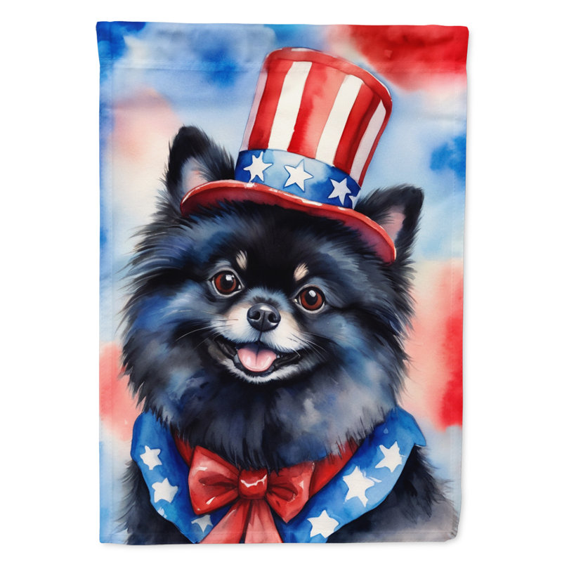Drapeau patriotique de la maison américaine, Loulou de Poméranie noir