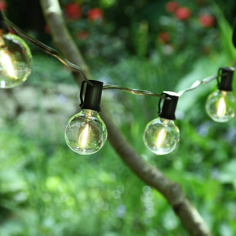 Bailey-Mai Electric LED Globe String Lights with 25 Clear Bulbs