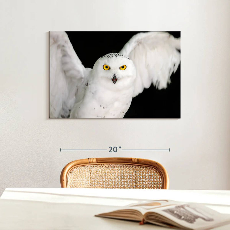 Brampt White Owl, 16" H x 24" W