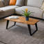 Jana Solid Wood Sled Coffee Table