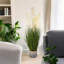 Herbe de plume artificielle en pot pour décoration intérieure et extérieure-847946511