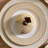 Noritake Trocadero Gold 5-Piece Place Setting, Service for 1