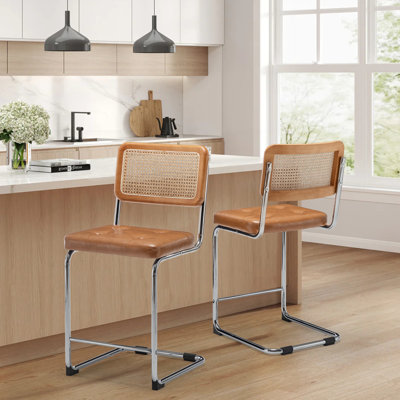 Burlinson 24" H Low Back Upholstered Counter Stool (Set of 2)