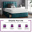 Fales Upholstered Bed-1706003265-1706003268-1706003285