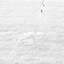 Tapis de bain réversible 100% coton touffeté 3000 g / m²-355024894-355024771
