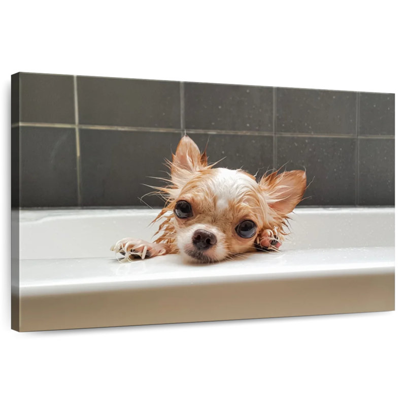 Brampt Chihuahua Bathing, 24" H x 36" W