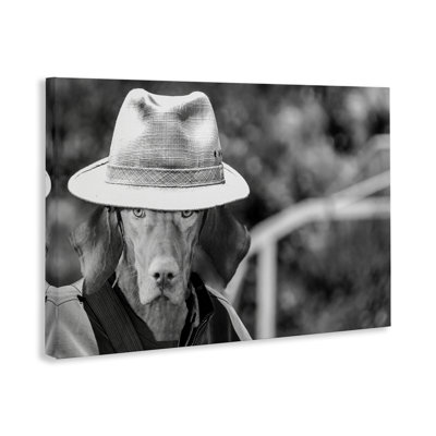 Country Cowboy Dog  Canvas by Sd Graphics Studio