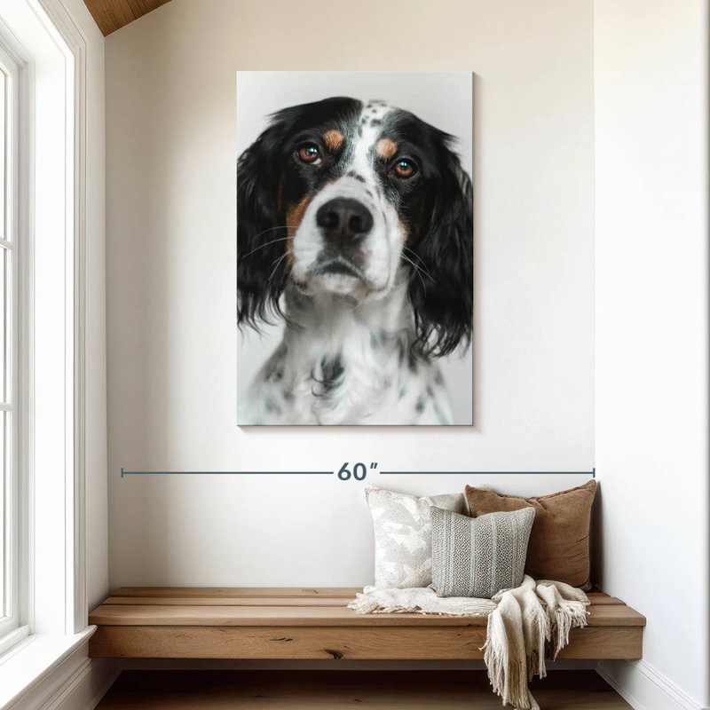 Brampt English Setter Dog, 45" H x 30" W