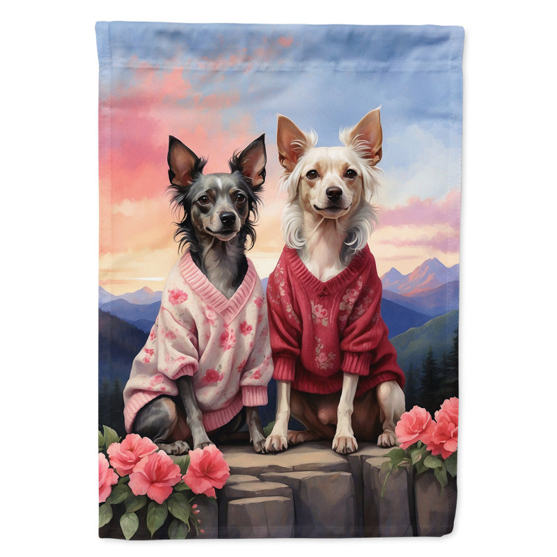 Double Sided 15.5'' H x 11.25'' W Polyester Valentine's Day Garden Flag